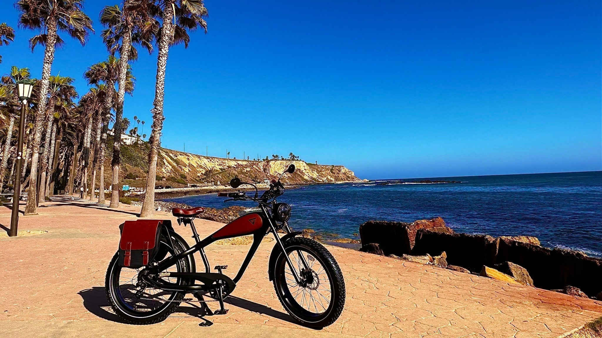 Fat Tire Ebikes for Sand Riding