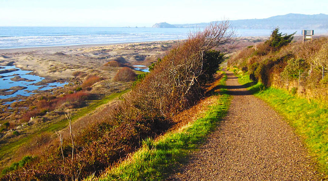 8 Best Trails to Ride in California