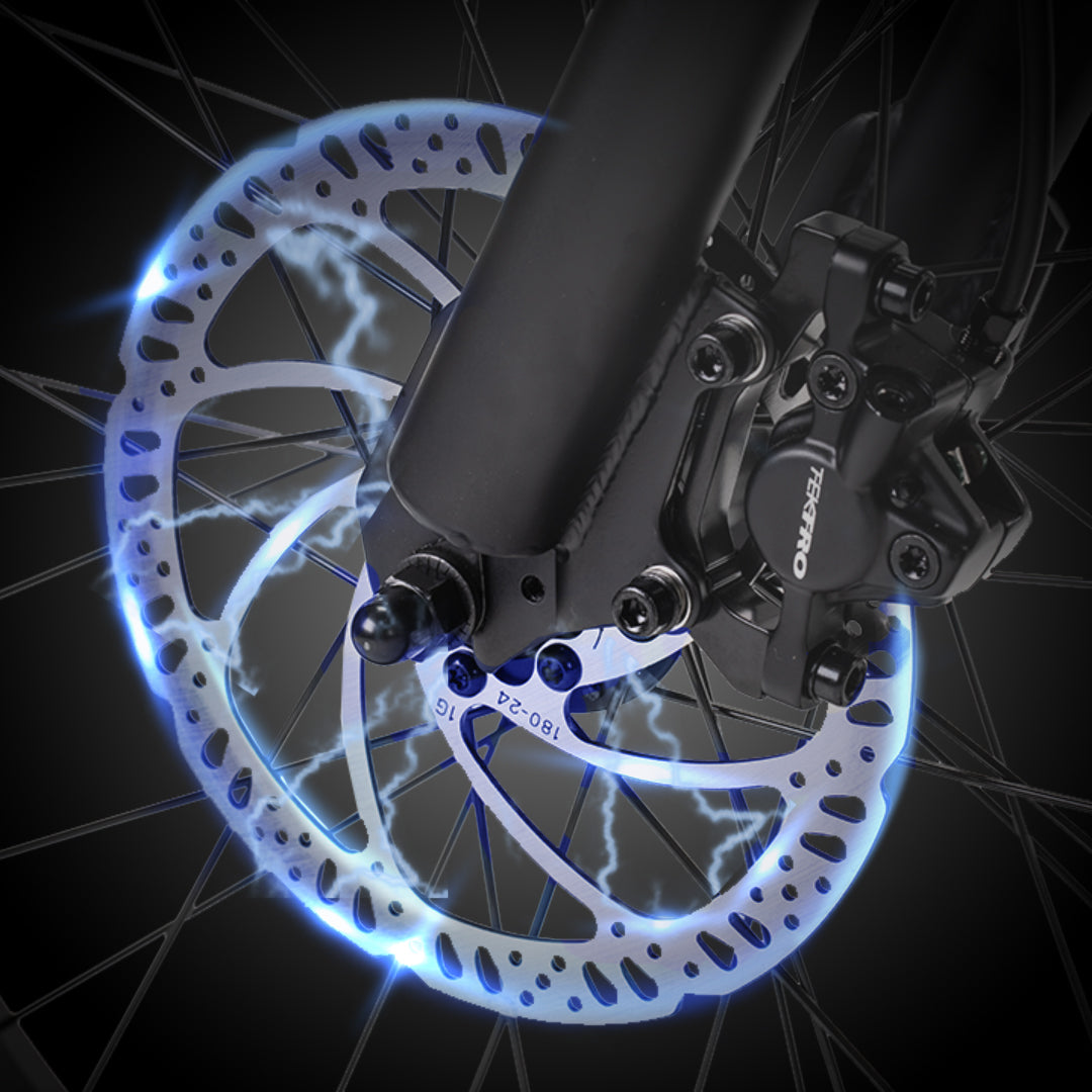 cheetah Hydraulic Disc