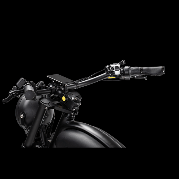 cheetah Adjustable Stem