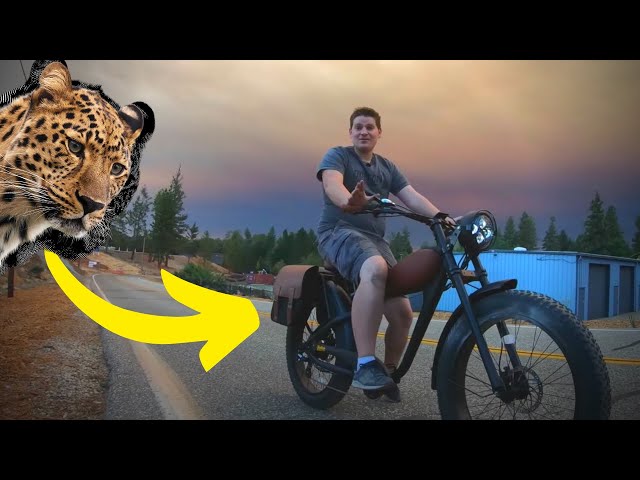 動画を読み込む