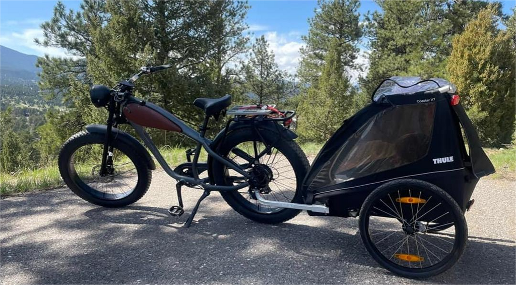 Prowler online bike trailer