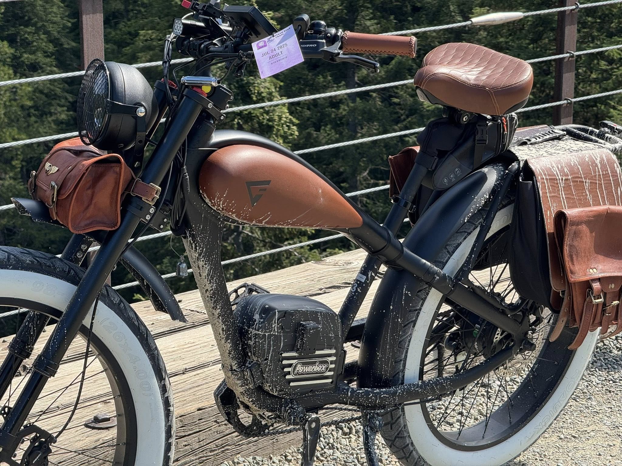 Ebike Charger Light Stays Green But Battery Won't Charge?
