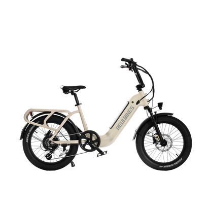 electric bicycle 2 seater Runabout.2 Step-thru City Utility Electric Bike Commute Cargo Bike 2 Seat – REVIBIKES