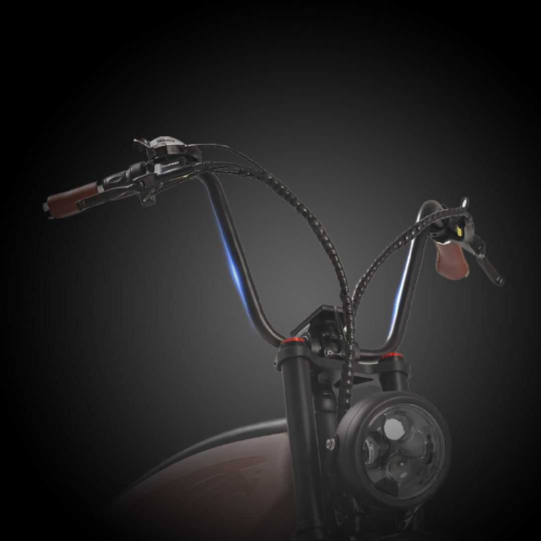 A Unique Handlebar Style