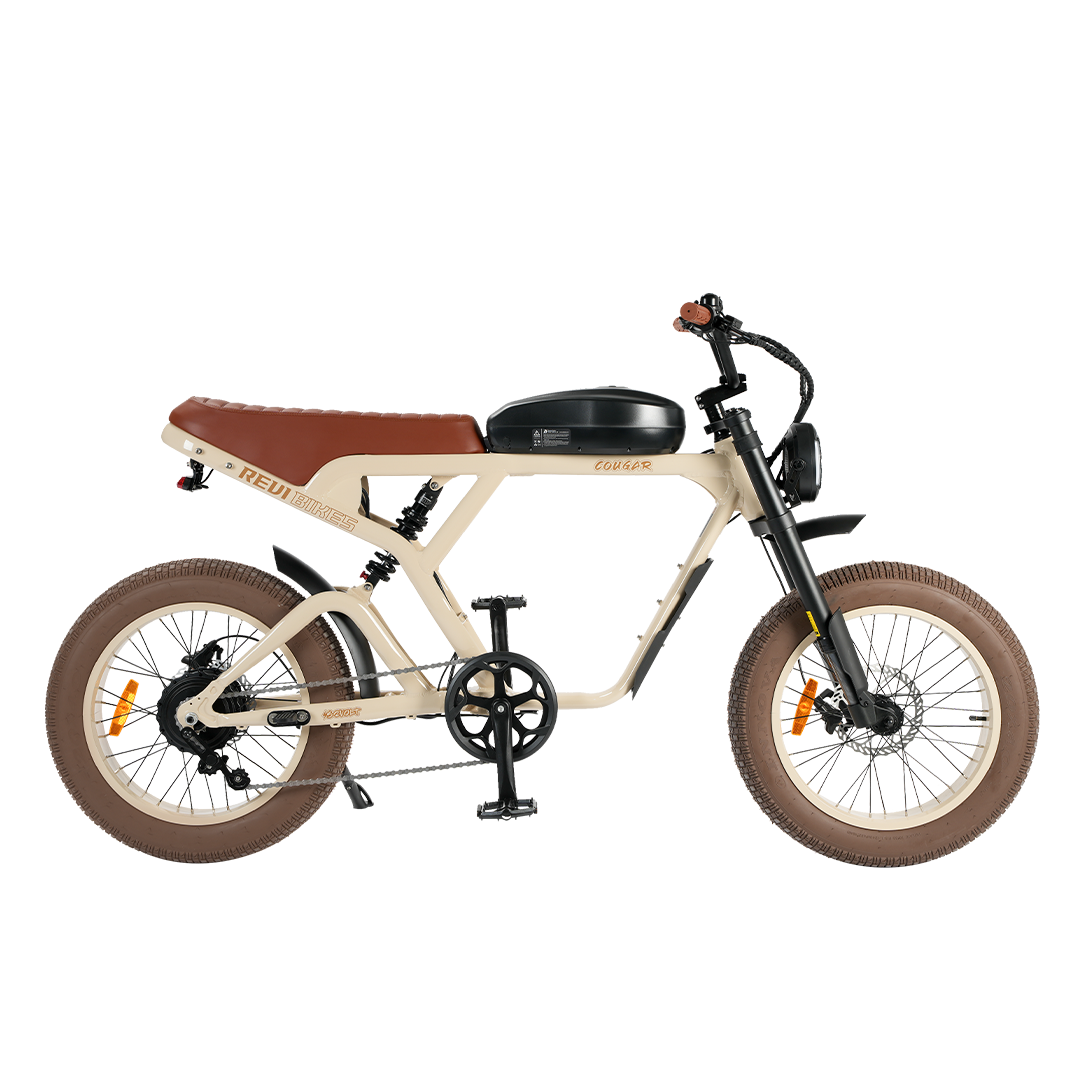 Revibikes Cougar (use promo code RunPlayBack for a discount)