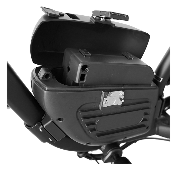 Cheetah Second Battery – REVIBIKES