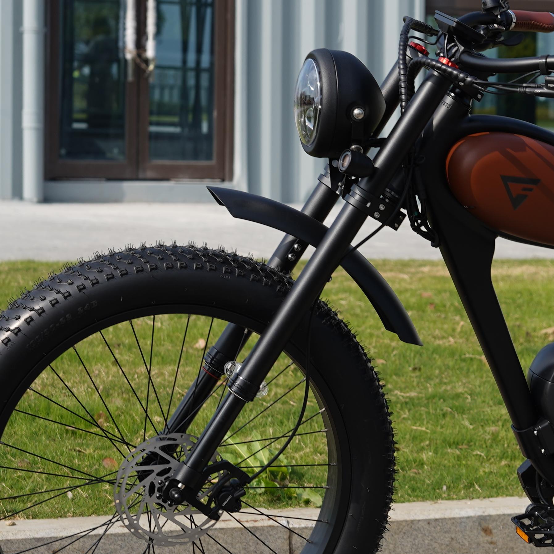 Air Ride Suspension Forks for Cheetah (Pre Order)