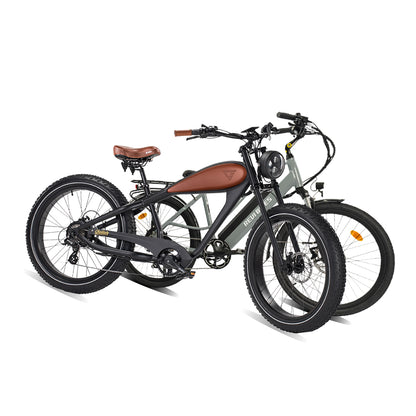 Cheetah（New)+Oasis.2