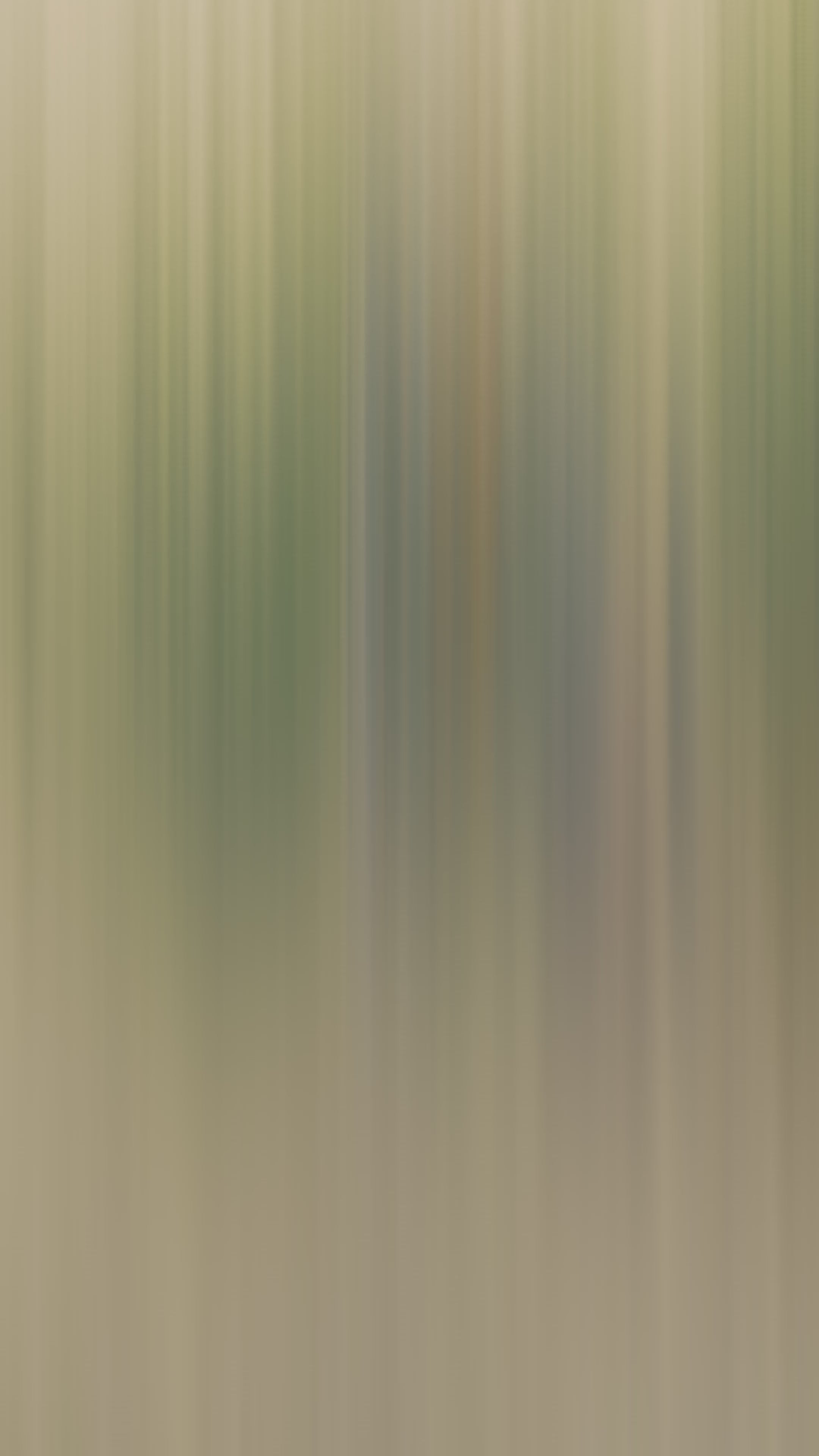 動画を読み込む