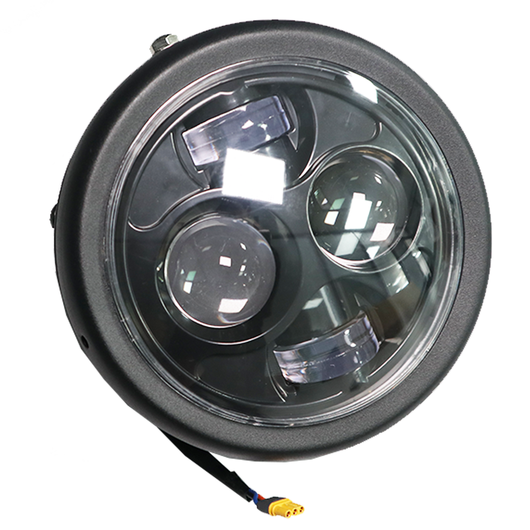 Cheetah Head Light